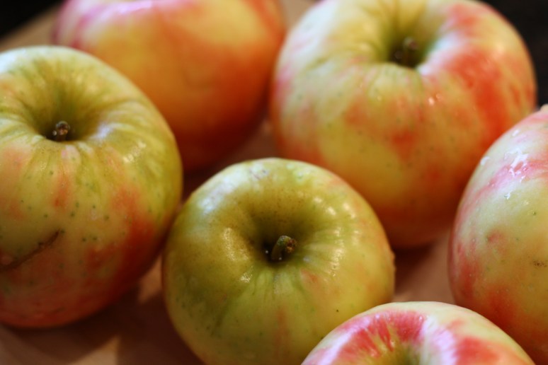 Beautiful Honeycrisp Apples